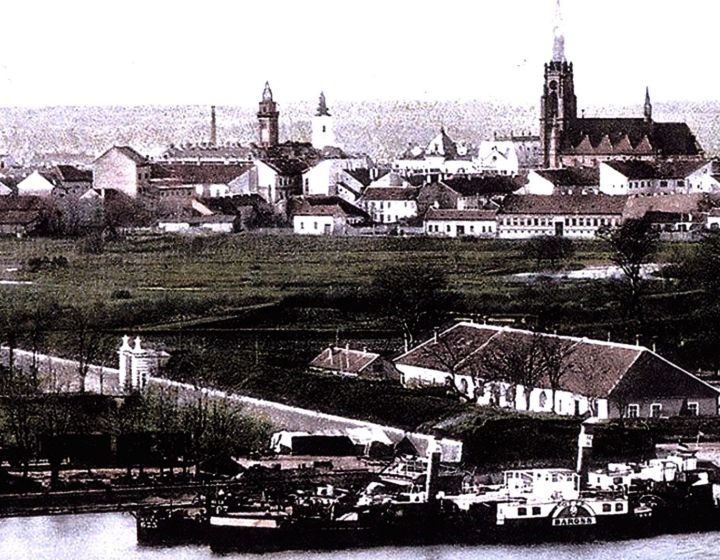 Gradske baštenske zajednice i Novi Sad